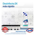 Desinfectante-Multisuperficies-Ayudin-gatillo-500-Ml-3-880061