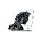 Carpeta-Escolar-3x40cm-Harry-Potter-Mooving-4-880590