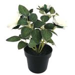 Flores-En-Maceta-D3-3c-Oi22-Krea-2-876997