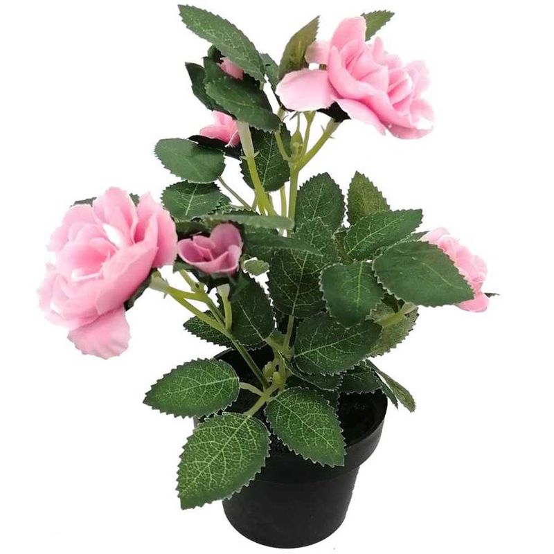Flores-En-Maceta-D3-3c-Oi22-Krea-3-876997