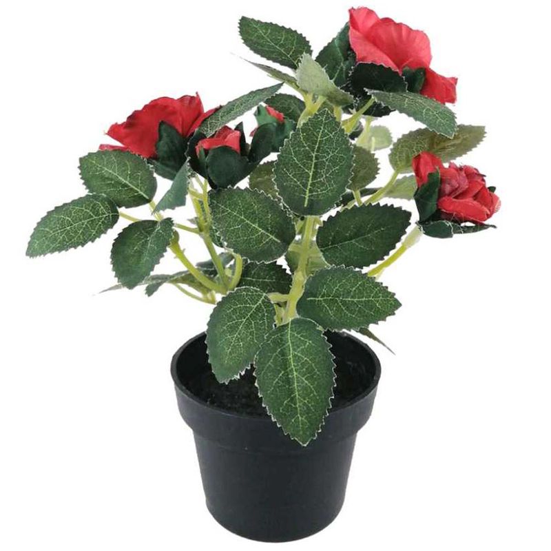 Flores-En-Maceta-D3-3c-Oi22-Krea-4-876997
