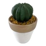 Suculenta-D3-Cactus-3d-Oi22-Krea-2-877002