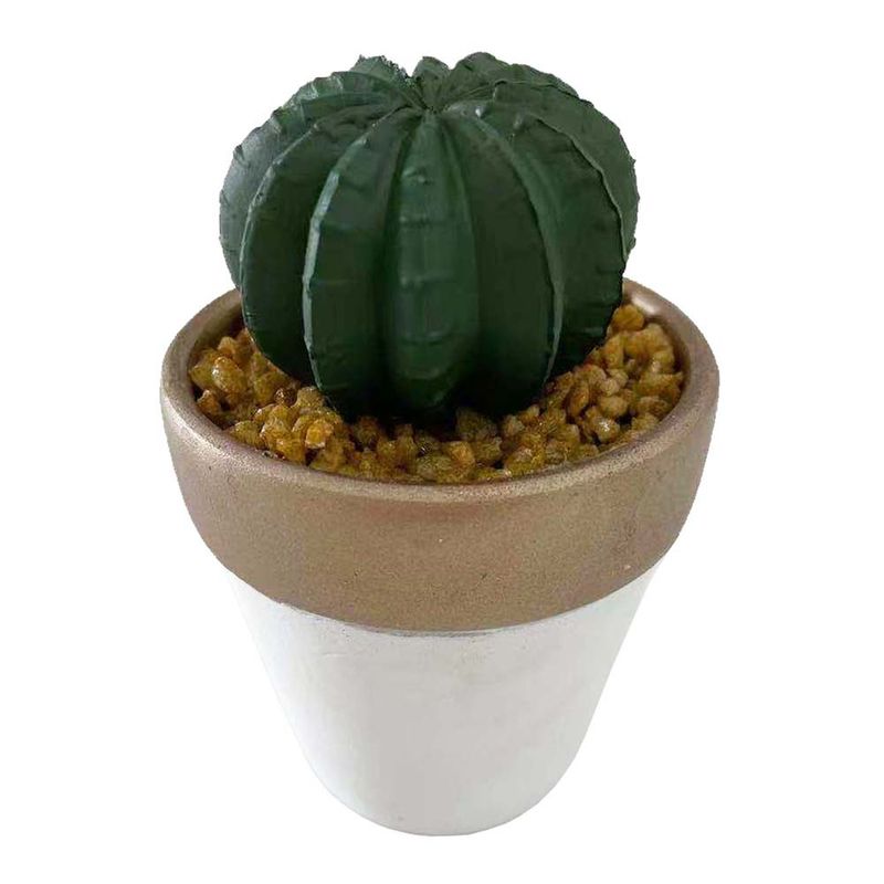 Suculenta-D3-Cactus-3d-Oi22-Krea-2-877002