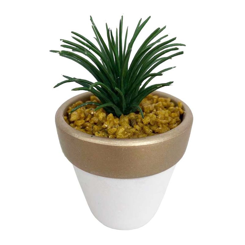 Suculenta-D3-Cactus-3d-Oi22-Krea-3-877002