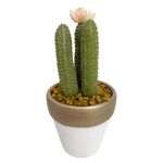 Suculenta-D3-Cactus-3d-Oi22-Krea-4-877002