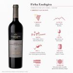 Vino-Terrazas-Grand-Cabernet-Sauvignon-2-871760