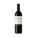 Vino-Blend-Cabernet-Merlot-Bonarda-Benjamin-X750-Ml-1-12861