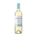 Vino-Cosecha-Tardia-Blanco-Benjamin-X750-Ml-1-33280