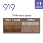 Kit-919-Tono-9-1-Rubio-Muy-Claro-Ceniza-Inten-3-861747