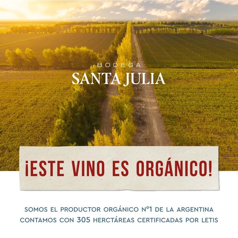 Vino-Santa-Julia-Malbec-Rose-Lata-269cc-4-854772