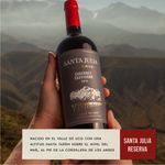 Vino-Santa-Julia-Reserva-Cabernet-750-Cc-3-21450