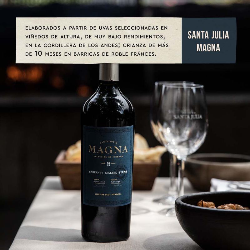 Vino-Tinto-Santa-Julia-Malbec-Magna-750-Cc-3-22372