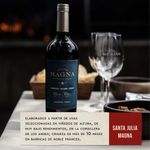 Vino-Tinto-Santa-Julia-Magna-750-Cc-3-17678