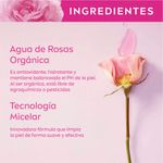 Leche-Y-Ton-Mic-Rose-Care-2en1-200ml-5-878930