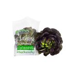 Lechuga-Hidroponica-Mantecosa-X-Und-1-887330