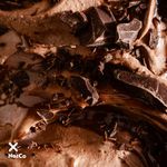 Helado-Noticecream-Chocolate-Chips-Notco-330-Gr-4-856110
