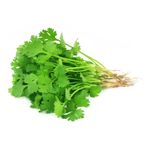 Cilantro-Org-nico-X-Unidad-1-887961