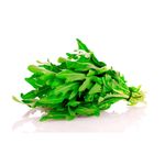 R-cula-Org-nica-Por-U-1-152