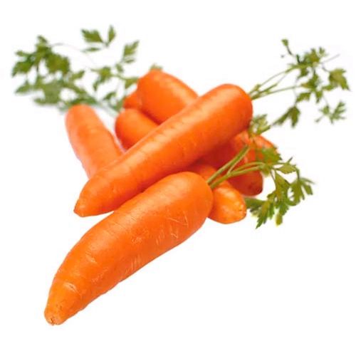 Zanahoria Organica Fracc.