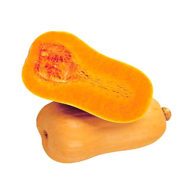 Zapallo-Anco-Organico-1-299263