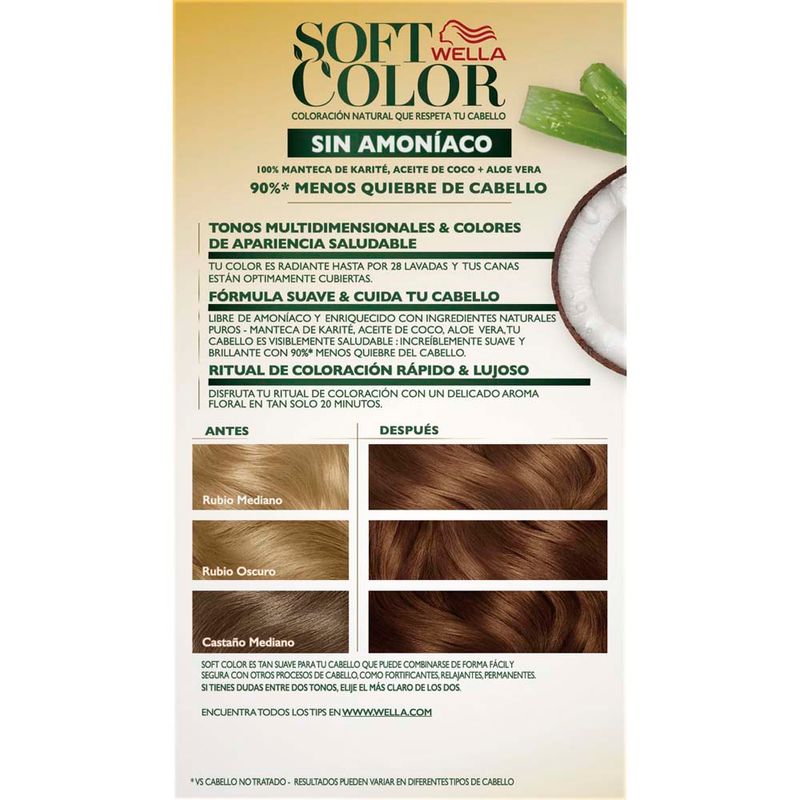 R-Soft-Color-Kit-71-Ash-Blonde-4-849624