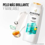 Shampoo-Pantene-Porv-Essent-2en1-400ml-2-883714