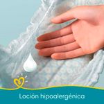 Pa-ales-Pampers-Confortsec-Xxg-X34-5-882859