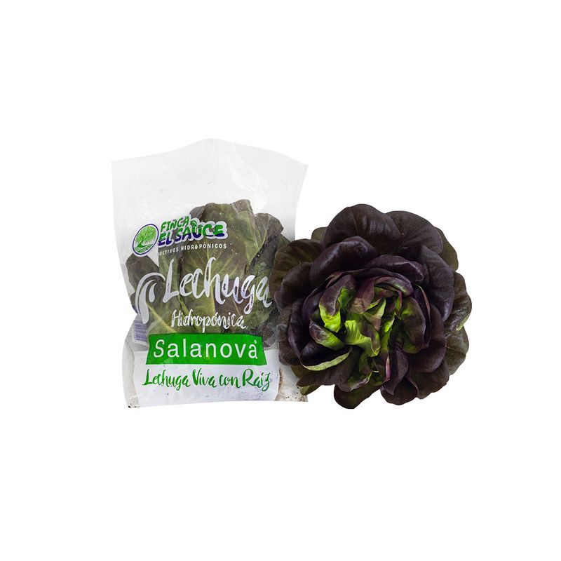 Lechuga-Hidroponica-Mantecosa-X-Und-1-888264