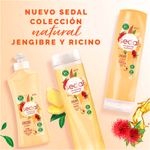 Crema-Para-Peinar-Sedal-Jengibre-Ricino-300-Ml-5-886106