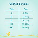 Pa-ales-Pampers-Pants-Premium-Care-Xg-X26-3-886957