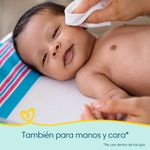 Toallitas-H-medas-Pampers-Reci-n-Nacido-48-Un-5-887832