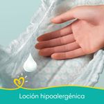 Pa-ales-Pampers-Confort-Sec-Plus-P-36-Un-8-869474