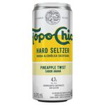 Agua-Con-Gas-Y-Alcohol-Topo-chico-Anan-310-Ml-2-887509