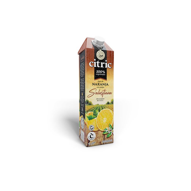 Jugo-Naranja-Salustiana-Citric-1l-1-892048