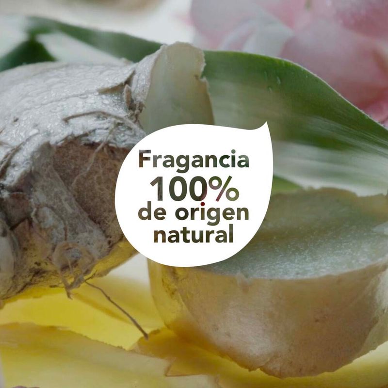 Shampoo-Dove-Real-Poder-De-Las-Plantas-Purificaci-n-Jengibre-300-Ml-8-891976