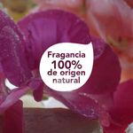 M-scara-De-Tratamiento-Dove-Real-Poder-De-Las-Plantas-Nutrici-n-Geranio-190-Ml-5-891989