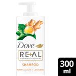 Shampoo-Dove-Real-Poder-De-Las-Plantas-Purificaci-n-Jengibre-300-Ml-1-891976