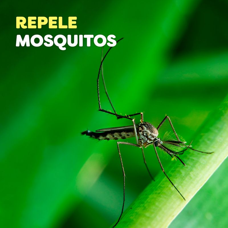 repelente-Para-Mosquitos-Off-Family-Crema-196g-4-891949