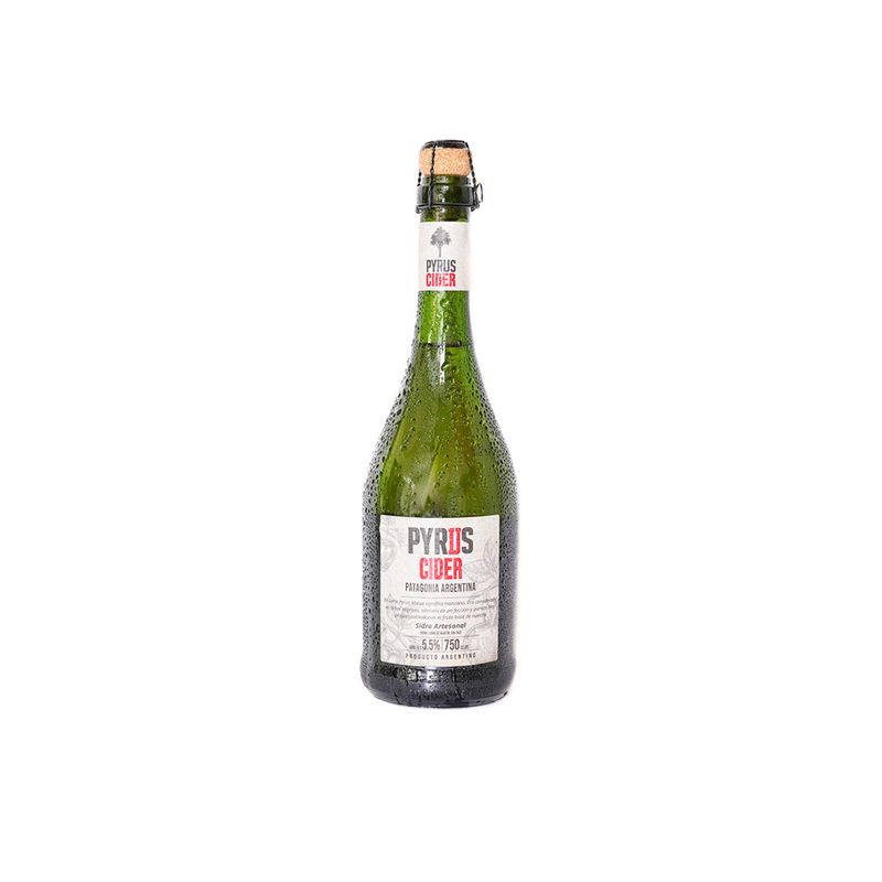 Sidra-Pyrus-Cider-750cc-1-893891