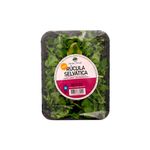 Rucula-Selv-tica-Rocky-1-152409