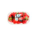 Frutillas-Hidroponicas-Zempre-Kg-1-889780