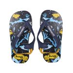 Ojota-Bebe-Hawaianas-Tiburon-1-890869