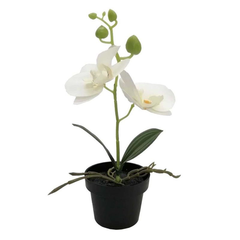 Flores-En-Maceta-2c-D2-Krea-2-884058