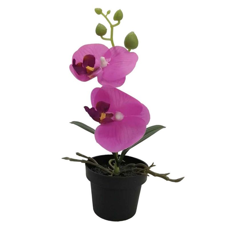 Flores-En-Maceta-2c-D2-Krea-3-884058