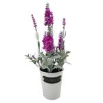 Flores-En-Maceta-2c-D4-Krea-2-884057