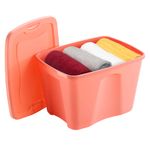 Caja-Plastica-37lt-Color-Rosada-Pv23krea-5-882255
