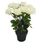 Flores-En-Maceta-D3-Krea-1-884052