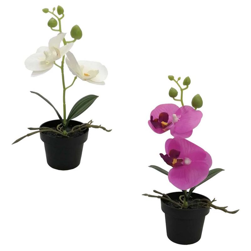 Flores-En-Maceta-2c-D2-Krea-1-884058