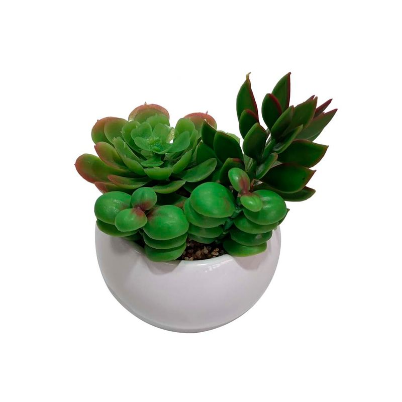 Suculenta-D3-Krea-1-884077