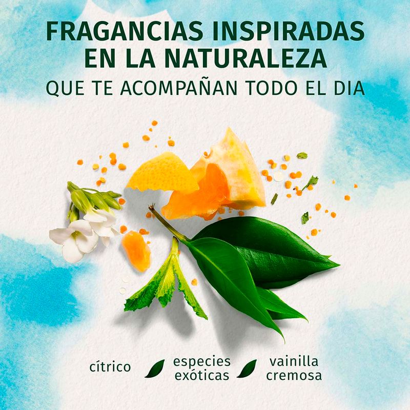 Crema-Para-Peinar-Herbal-Essences-B-o-renew-Argan-Oil-Of-Morocco-300-Ml-3-843610
